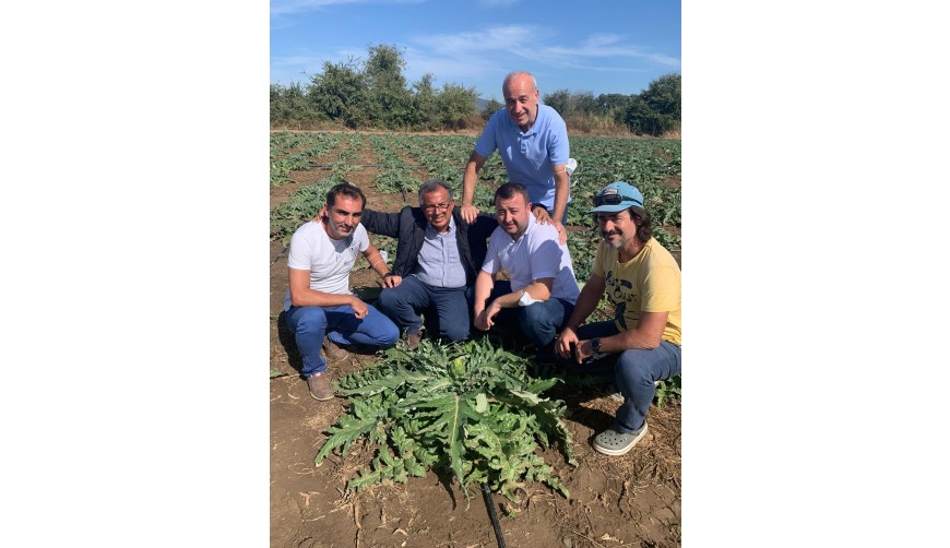 Enginar Hasadında Erkenciyiz