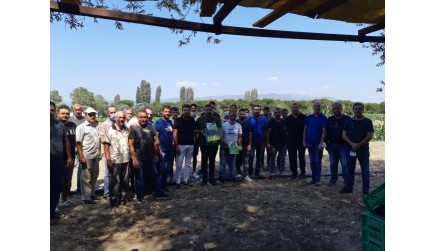 Bursa İznik dırazali - Attack F1 Tarla Günü Etkinliğimiz