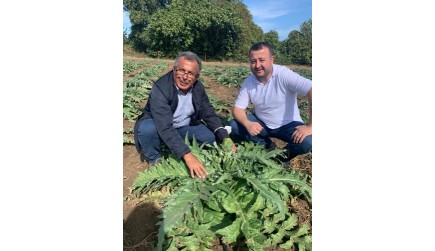 Solimano F1 Enginar Hasadı Devam Ediyor