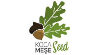 Kocameşe Seed