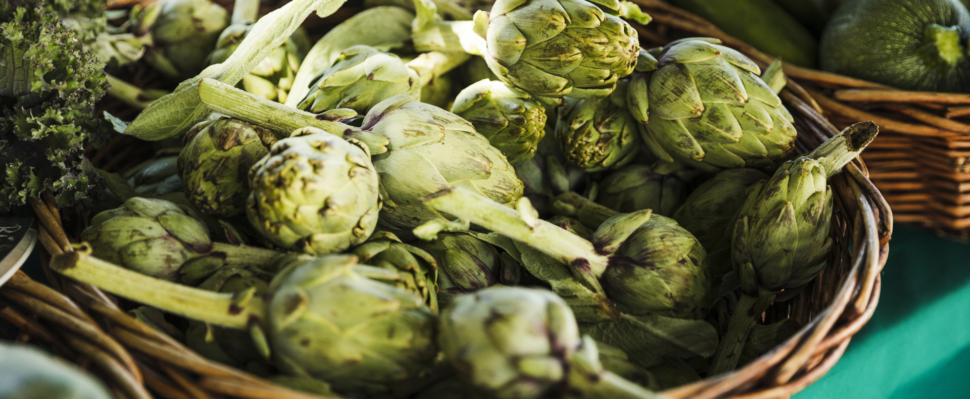 Solimano F1 - Enginar Tohumu